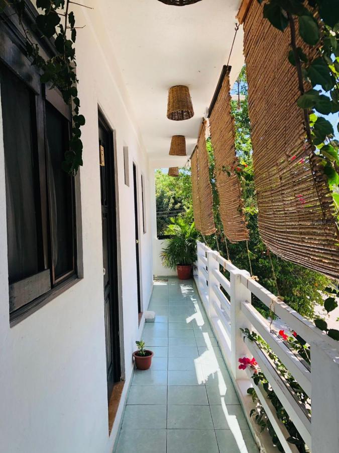 Auberge de jeunesse Chaak à Puerto Escondido  Extérieur photo
