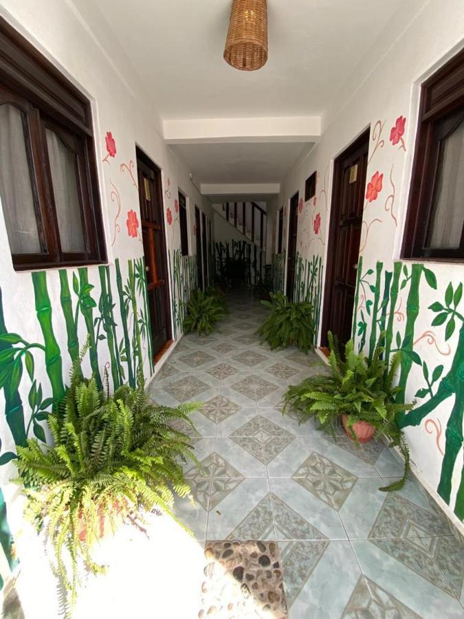 Auberge de jeunesse Chaak à Puerto Escondido  Extérieur photo