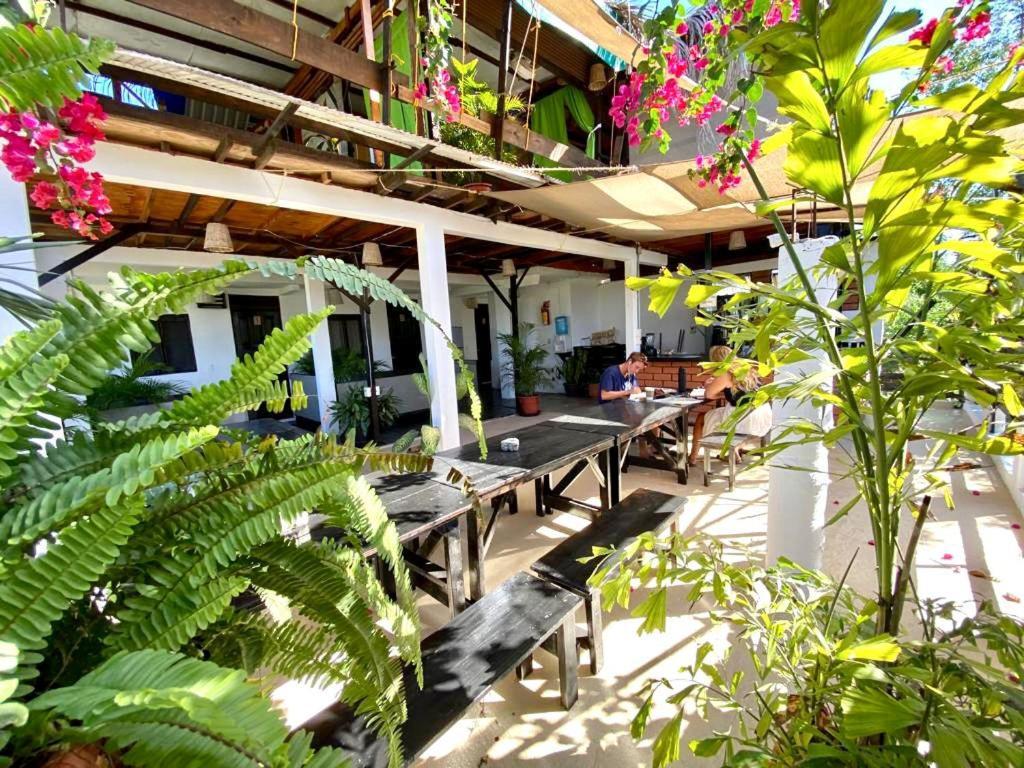 Auberge de jeunesse Chaak à Puerto Escondido  Extérieur photo